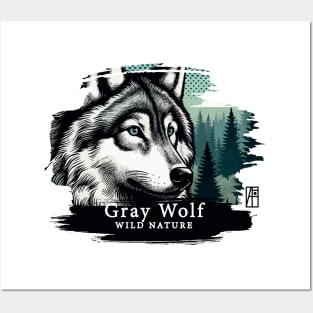 Gray Wolf - WILD NATURE - WOLF -4 Posters and Art